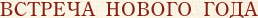 vstrecha-new-year_zag.gif